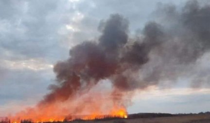 GORI TRSKA U KRNJAČI! Požar na oko 2 hektara trave i niskog rastinja, gasi osam vatrogasaca sa dva vozila
