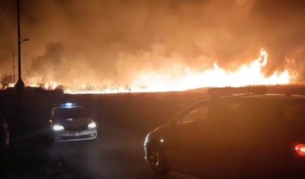 KATASTROFA NA POMOLU! Opet gori futoški nasip, vatrogasci se bore sa stihijom (VIDEO)