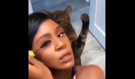 ŠAMAR, PA U GLAVU! Devojka se šminkala, a onda joj je mačka OČITALA LEKCIJU - ŠOK scena ZA PAMĆENJE (VIDEO)