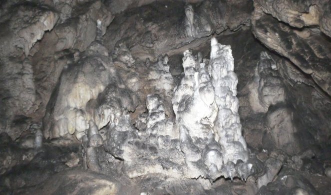 OVDE SE KRIJU IZUZETNO RETKI GOLUBOVI! Neverovatno bogatstvo smešteno u veličanstvenom kanjonu reke Uvac, dve pećine spajaju se u jami Bezdan (FOTO)
