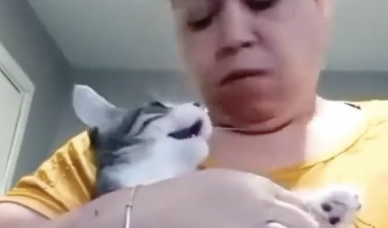 KAKVA KRALJICA DRAME! Žena je htela maci da iseče kandžice, a njena reakcija će vas nasmejati do suza! (VIDEO)