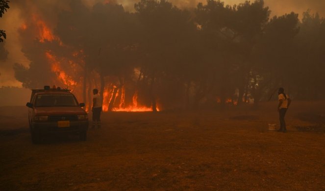 (VIDEO) VATROGASCI U LAVOVSKOJ BORBI PROTIV ČETIRI ŠUMSKA POŽARA U GRČKOJ! Evakuisano više od 450 ljudi, zapalila se jedna kuća!