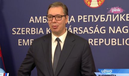 SAMO NAM JE JOŠ TO FALILO, ALI TO NEMA VEZE SA NAMA! Vučić o upadu rumunske policije u kancelarije NIS: Tražićemo dodatne informacije