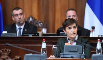 BORBA PROTIV NASILJA SE NE VODI NA GAZELI! Premijerka Srbije poručila opoziciji u Skupštini: Želimo da čujemo dodatne predloge, a vi ste se odlučili za performans