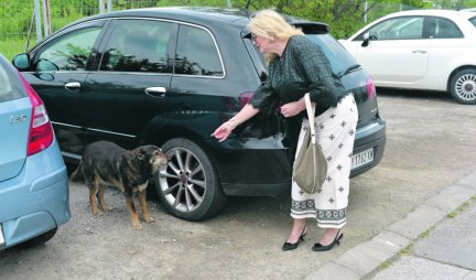 HRANI LUTALICE! Suzana Mančić nosi hranu za pse na ulici, ovako voditeljka brine o životinjama! (PAPARACO)
