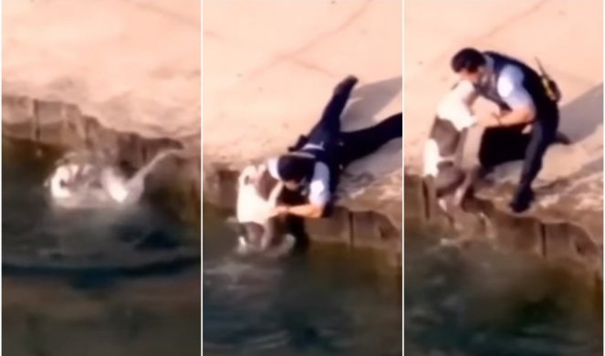 ODMAH JE DOTRČAO DA GA SPASI! Pas je upao u vodu, a policajac je momentalno pritrčao u pomoć (VIDEO)