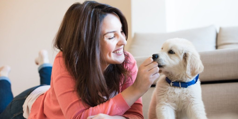 Kako da se izborite sa rastom zuba vašeg psa? Otkrivamo nekoliko trikova