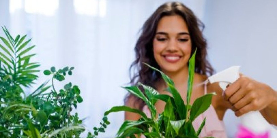 5 ključnih saveta! Otkrijte kako da negujete biljke i napravite oazu u kući
