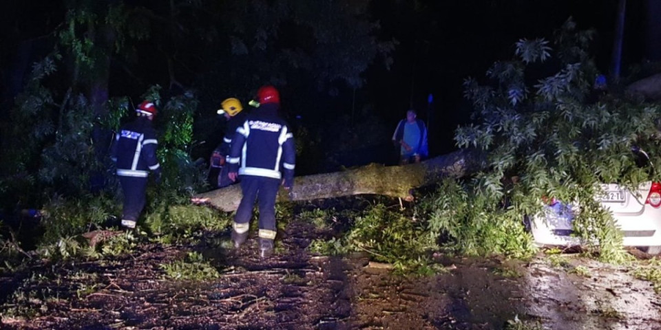 Haos u Obrenovcu, vetar čupao drveće, obarao signalizaciju... Spasilačke službe i policija na terenu (FOTO, VIDEO)
