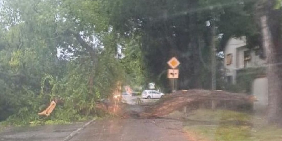 Zastrašujući snimci iz Sombora: Oluja krenula svom silinom, vetar obarao drveće (FOTO, VIDEO)