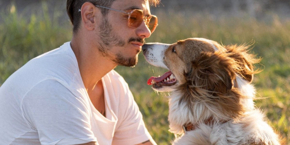Šta znači kad muškarac ima dugodlakog psa? Vrsta kućnog ljubimca otkriva vašu prirodu
