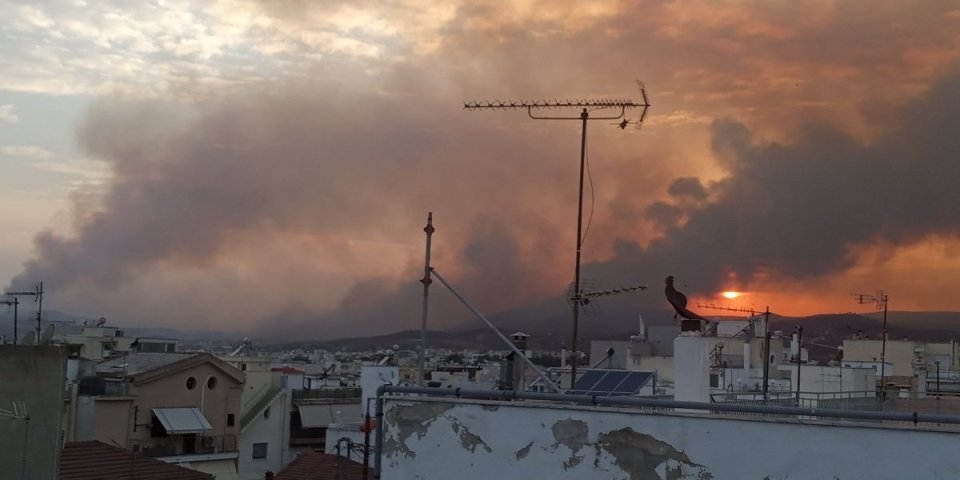 Izbio požar na Halkidikiju, gori između dva popularna letovališta!