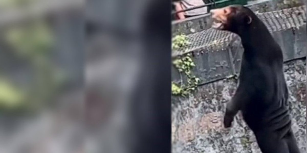 (VIDEO) Ljudi moji, šta je ovo?! Posetioci zoo-vrta zanemeli od straha, šta ili ko se krije u telu životinje?!