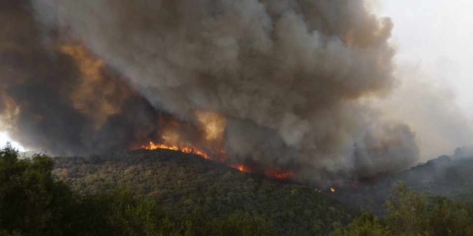 Drama u Grčkoj, vatra guta ostrvo u Kikladima: Požar besni na severu Androsa, izgorela cisterna s vodom, pojačava se broj vatrogasaca!