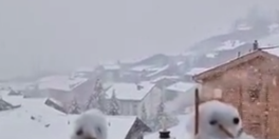 Temperatura pala za 30 stepeni! Posle toplotnog talasa Švajcarsku pogodile obilne kiše i sneg (VIDEO)