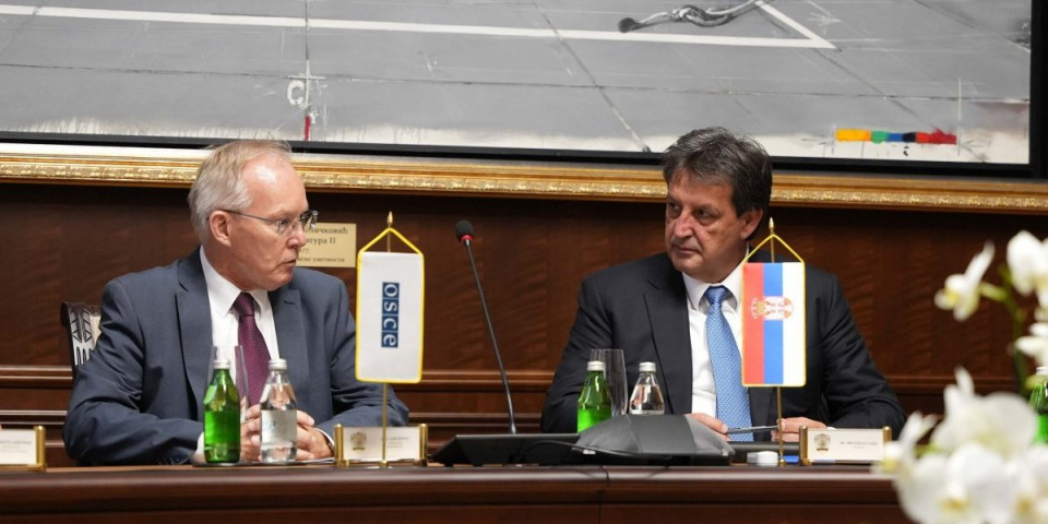 Ministar Bratislav Gašić razgovarao sa šefom Misije OEBS-a u Srbiji Janom Bratuom