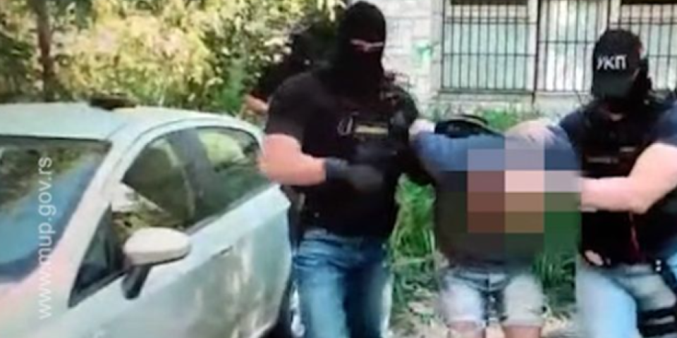 Radili drogu u tri države! Srpska policija uhapsila sedam pripadnika narko grupe, koja je uzgajala marihuanu