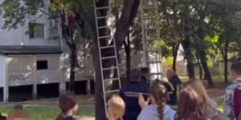 Dečak se popeo na drvo u Železniku, pa nije znao da siđe: Došli su vatrogasci, sumnja se da je po sredi Tik Tok izazov! (VIDEO)
