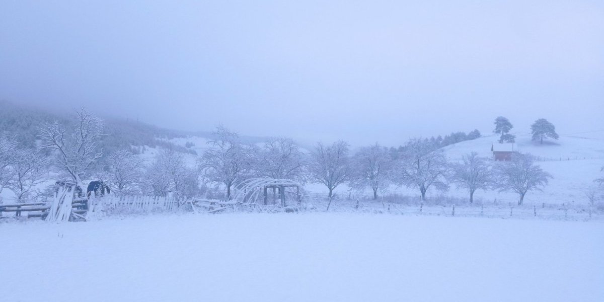 Zabelela se Srbija! Sneg i oluja na planinama, zavejani i ovi predeli - Upozorenje RHMZ i dalje na snazi (FOTO, VIDEO)
