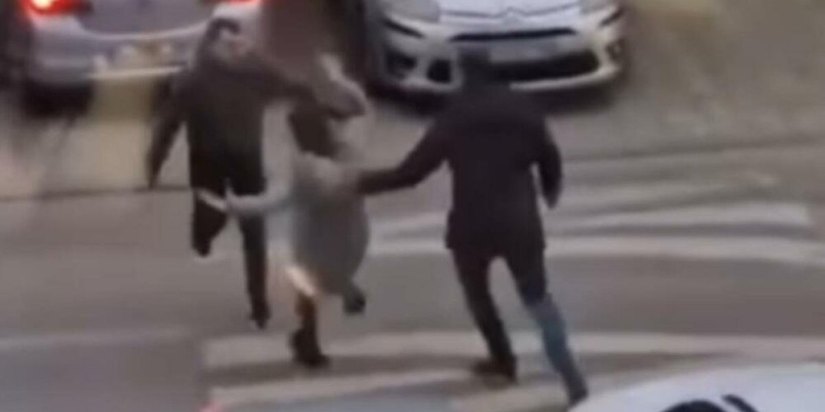 (VIDEO) Policija traga za nasilnicima iz Novog Sada:  Devojka završila na asfaltu, mladići se pesničila nasred ulice