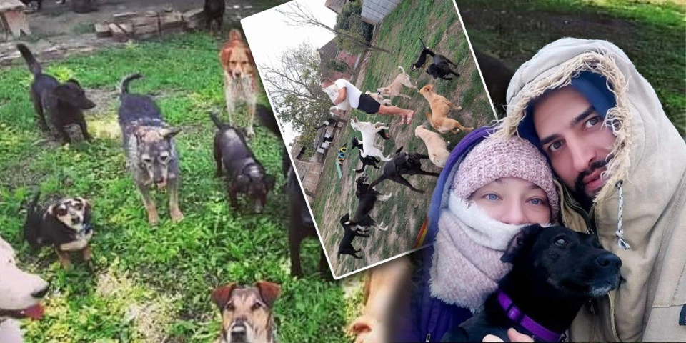 Ostavili stan u gradu i otišli na selo: Vera i Peđa žive sa 30 pasa i gledaju ih kao svoju decu