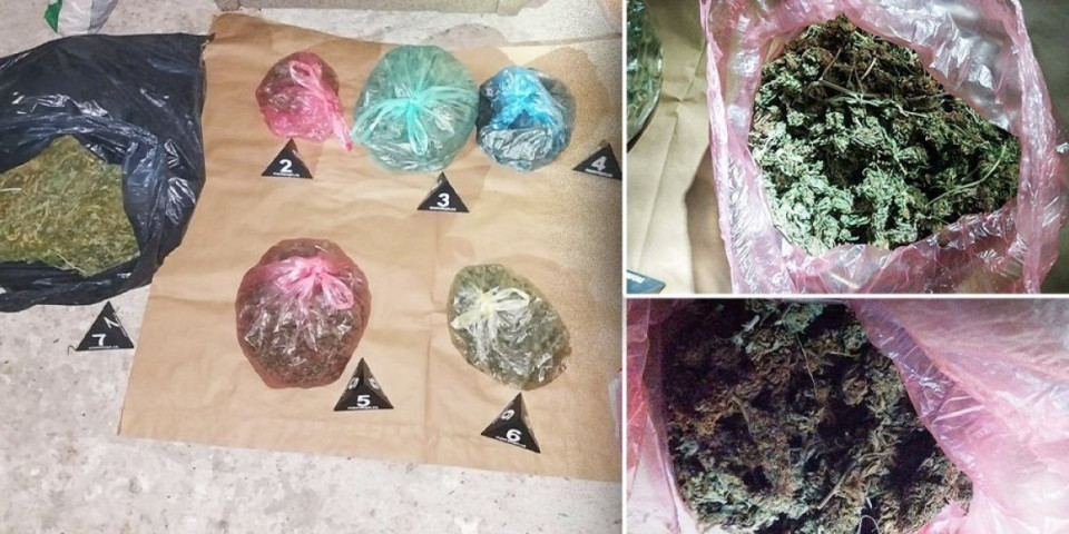 Zaplenjeno 2,8 kg marihuane i 50 grama kokaina: Uhapšena trojica dilera u Kragujevcu