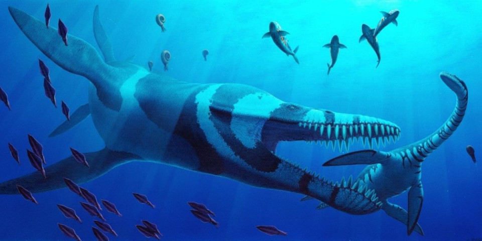 Morska neman iz doba jure koja je terorisala okean! Naučnici pronašli lobanju čudovišta  staru 150 miliona godina (FOTO)