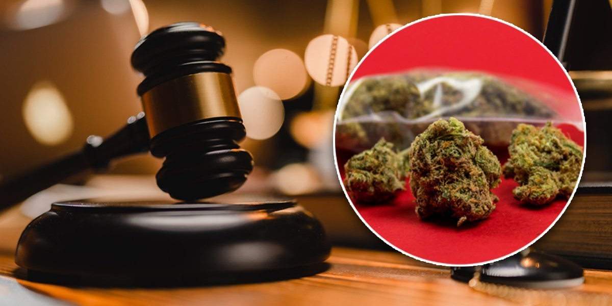 U Bijelom Polju izrečena presuda Kraljevčaninu za šverc droge! Osuđen na 30 meseci za krijumčarenja 30 kilograme marihaune