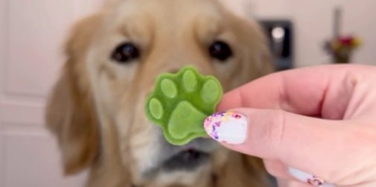 Napravite pseće osveživače za dah! Ljubimac će uživati u grickanju, a sastojke već imate u kuhinji (VIDEO)