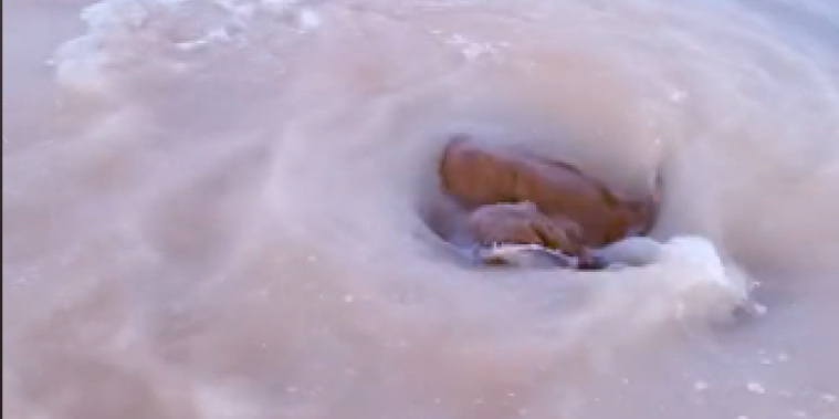 Kakvo je ovo čudo u vodi! Svi pričaju o čudnoj pojavi usred pustinje - nešto braon izranja (VIDEO)