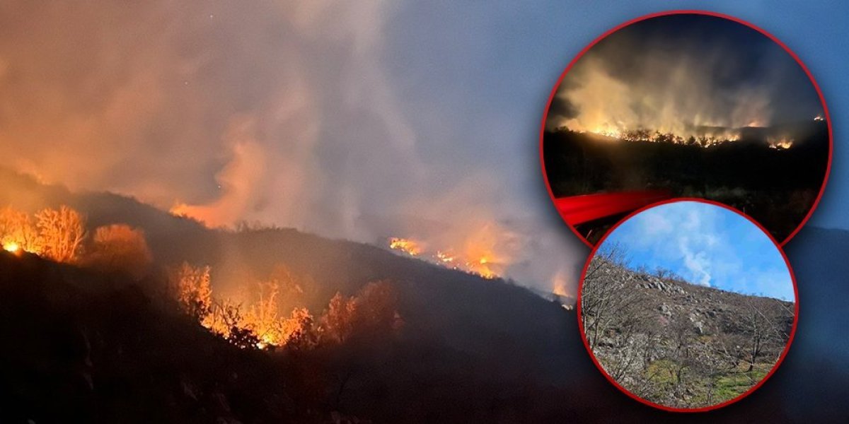 Ogroman šumski požar kod Beočina! Vatra "guta" sve pred sobom (FOTO)