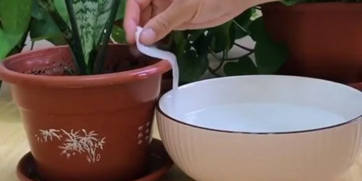 Evo kako da namestite cveće da se samo zaliva! Sve što vam treba su voda i ubrus (VIDEO)
