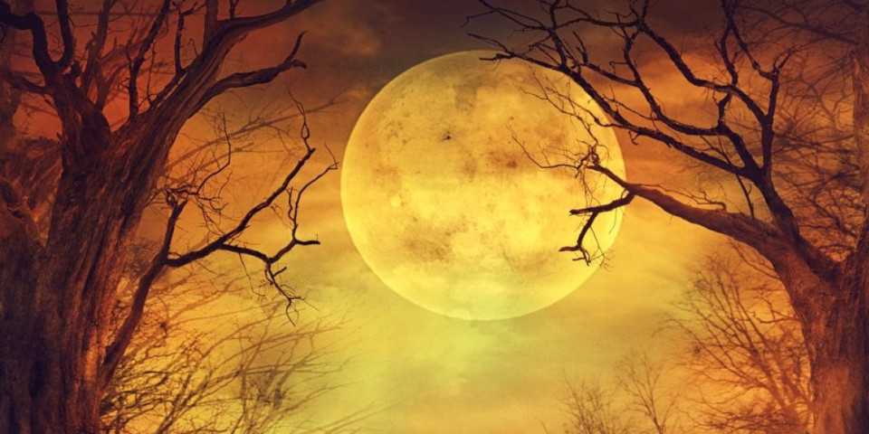 Mesec je ušao u Bika! 3 horoskopska znaka neka se spreme za pozitivne promene