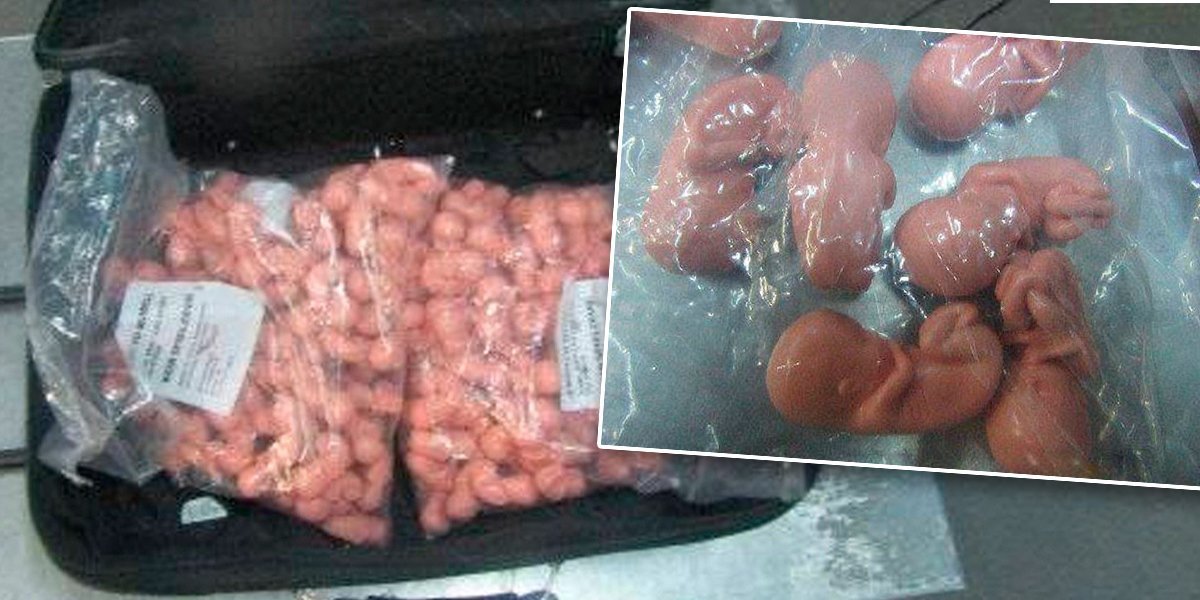 Scena užasa na granici! Žena pokušala da prokrijumčari 200 embriona u koferu (FOTO)