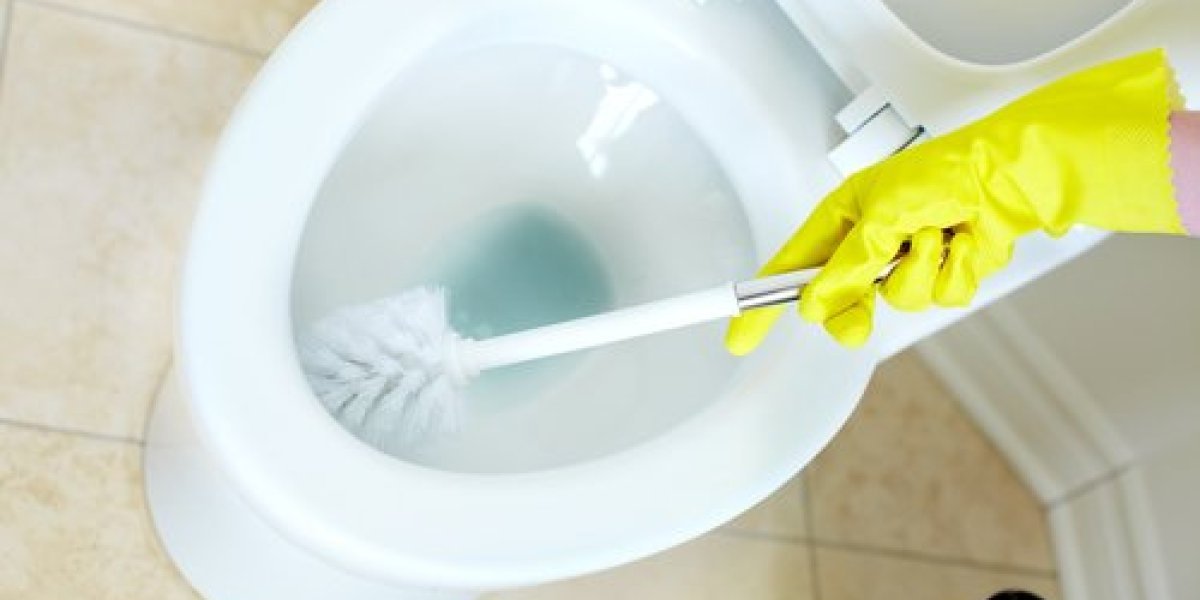 Pogrešno ste čistili WC! Ekspert za higijenu otkriva koju odvratnu grešku svi prave (VIDEO)