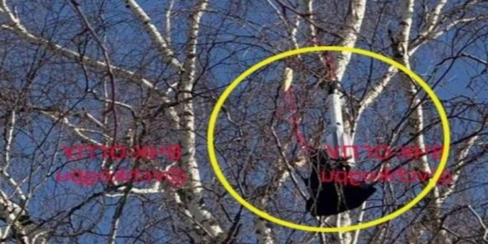 (FOTO) Nije dron! Šta je ovo palo kod Moskve?! Velika misterija u Rusiji, svi strahuju od najgoreg!