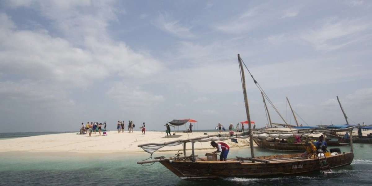 Osmoro dece i jedna odrasla osoba preminulo na Zanzibaru nakon što su jeli meso morske kornjače