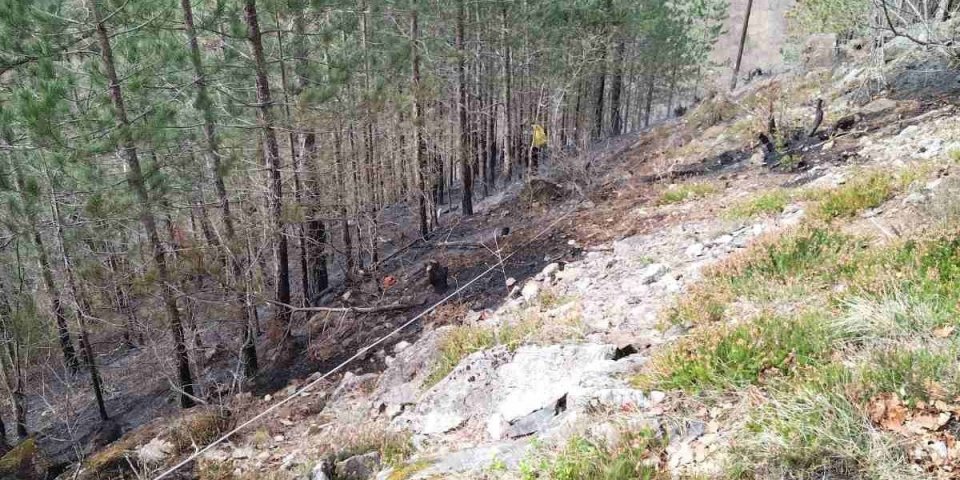 Vatrogasci cele noći na terenu! Izgorelo 100 hektara četinara na Staroj planini!