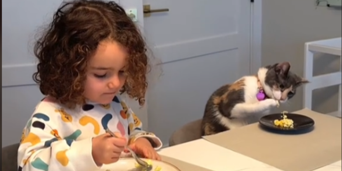 Snimak razvalio mreže! Devojčica usvojila mačku ne sluteći koga dovodi u dom - ostaćete bez teksta (VIDEO)