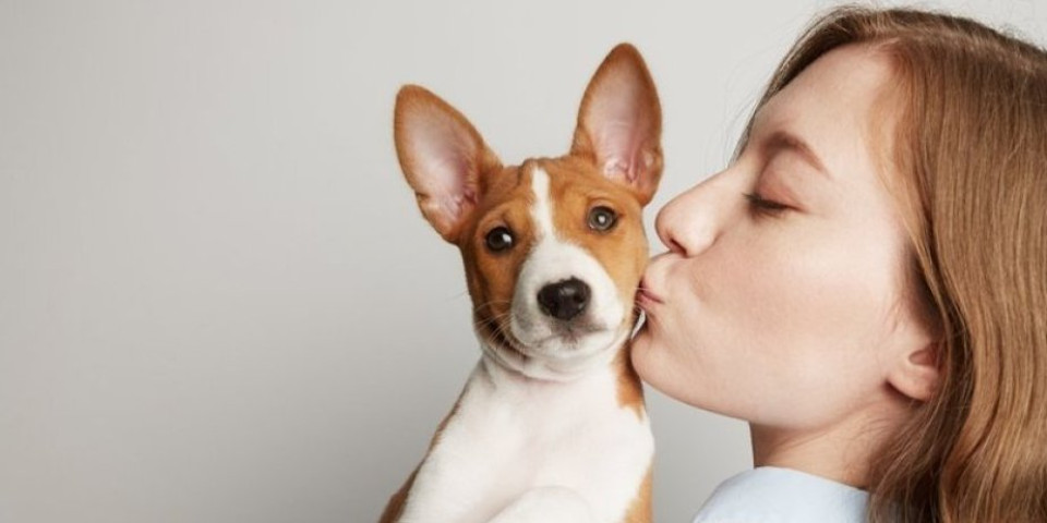 Test: Odredite tip ličnosti vašeg psa - šaljivdžije su posebno zabavne