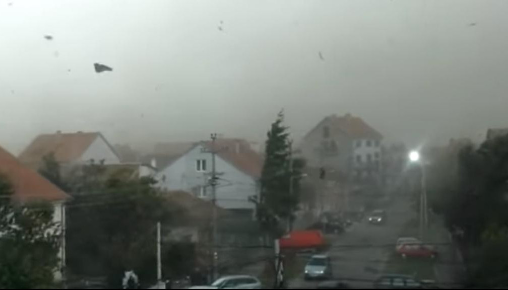 (VIDEO) ŽESTOKO NEVREME POGODILO TOPOLU:  Olujni vetar rušio drveće, domaćinstva ostala BEZ STRUJE!