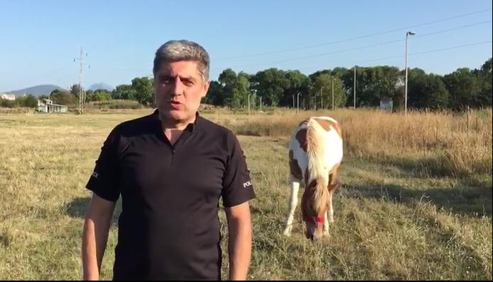(VIDEO) DOSTOJANSTVO, BATO! Dr Miroljub Petrović: Evo bez čega Srbi ne mogu da opstanu kao narod!
