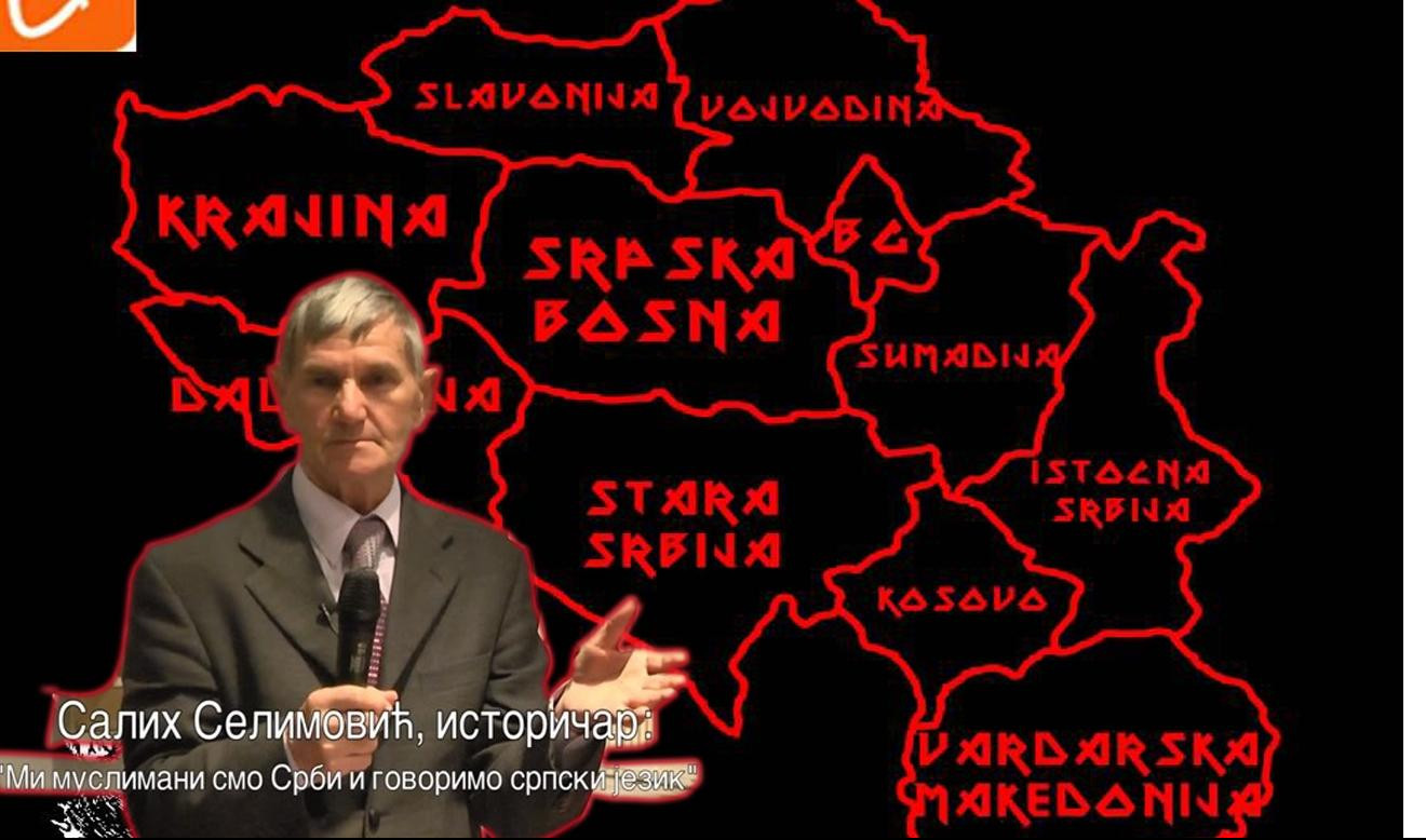 ISTORIČAR SELIMOVIĆ RAZBESNEO HRVATE, CRNOGORCE I BOŠNJAKE: Srbima pripadaju BiH, Crna Gora, Vojna Krajina, Dubrovnik, Severozapadna Makedonija