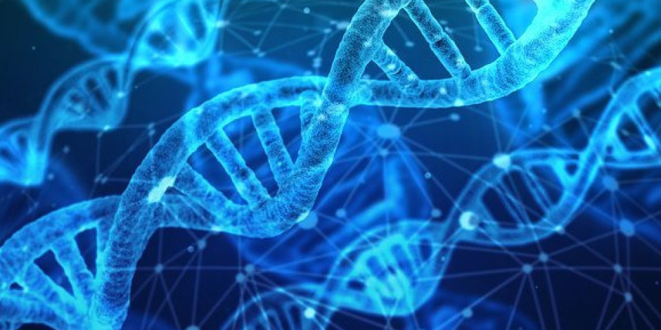 BRAVO, SRBIJO! Naši naučnici otkrili kako DNK utiče na koronu, rezultati su ZAPANJUJUĆI!
