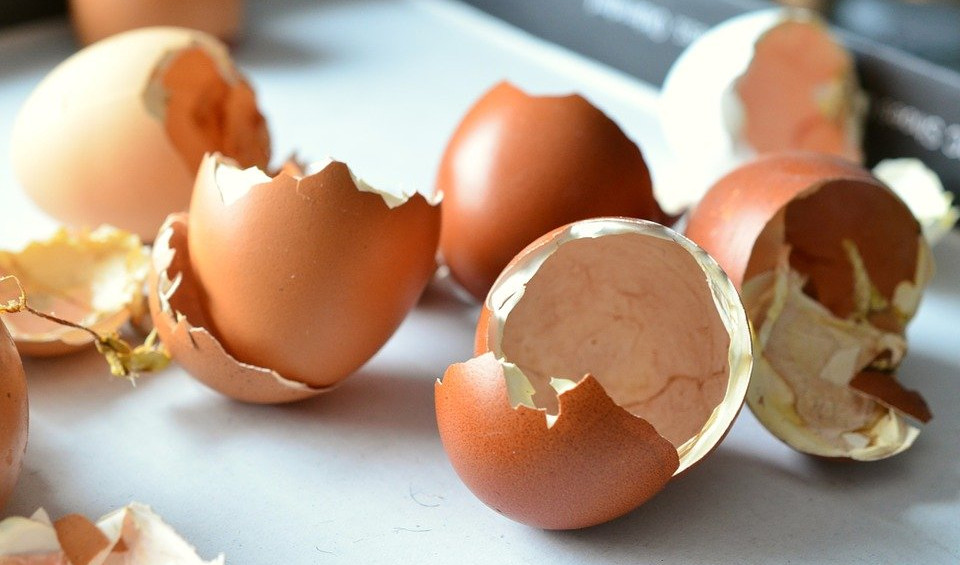 GREOTA DA SE BACI: Evo šta sve možemo sa ljuskom od jajeta!