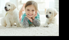 PSI poboljšavaju zdravlje beba PSI poboljšavaju zdravlje beba