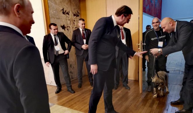 (FOTO) PRESLADAK SI, PAŠA! Putin upoznao svog novog ljubimca, šarplaninca kojeg mu je Vučić poklonio!