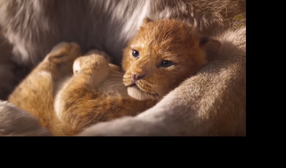 (VIDEO) DA SE RAZNEŽIŠ! Stigao prvi zvanični trejler filma "Kralj lavova"