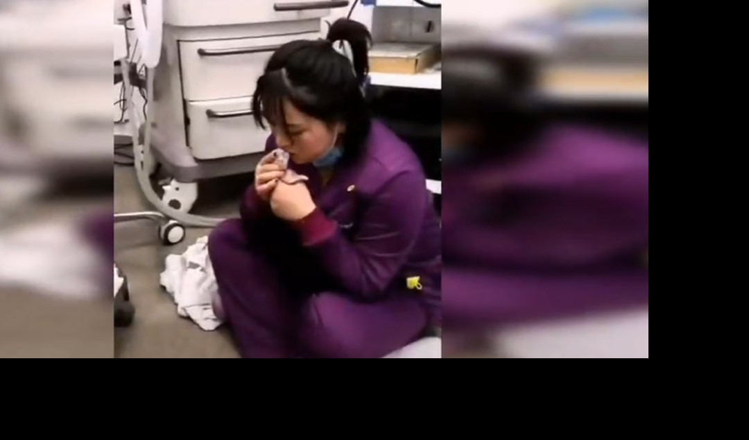 (VIDEO) VETERINARKA HEROINA! Veštačkim disanjem vratila macu u život!