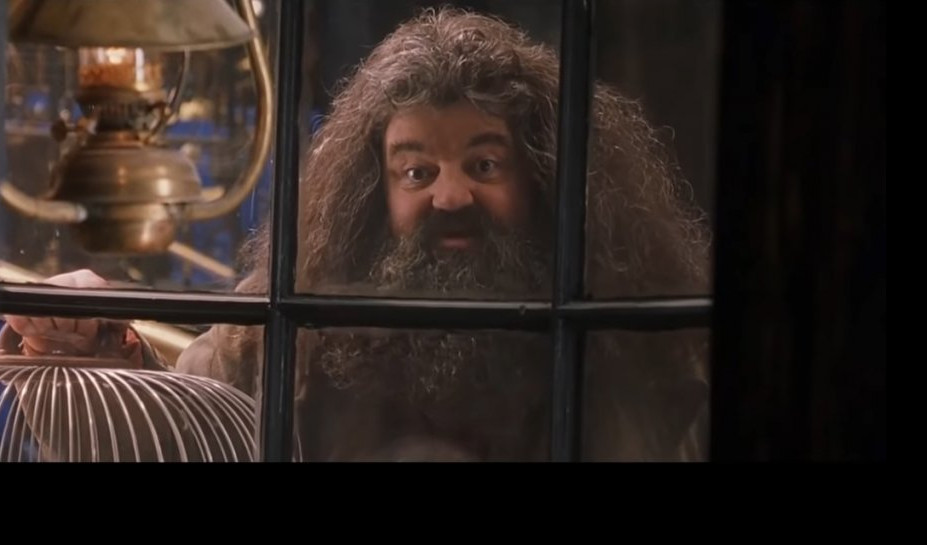 (VIDEO) ZVEZDA FILMOVA "HARI POTER" U TEŠKOM STANJU! Svi volimo Hagrida i njegova magična stvorenja